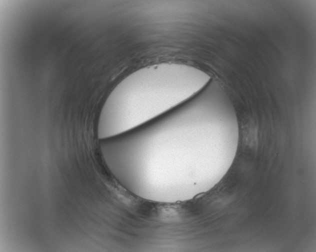 X0000062130618200512090952