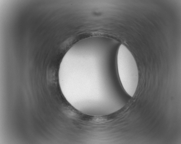 X0000062130619200512090952