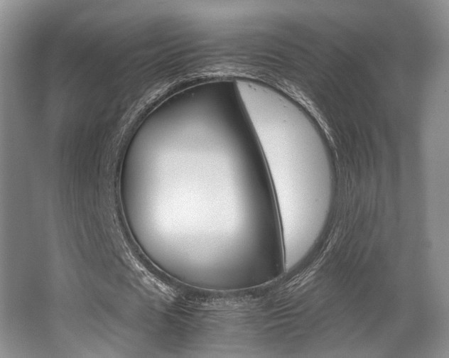X0000062130625200512090951