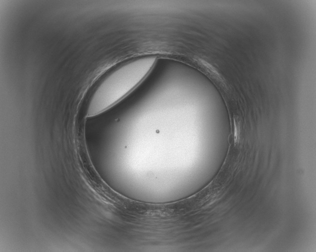 X0000062130627200512090951