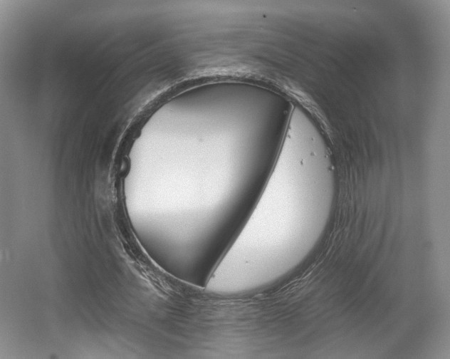 X0000062130628200512090951