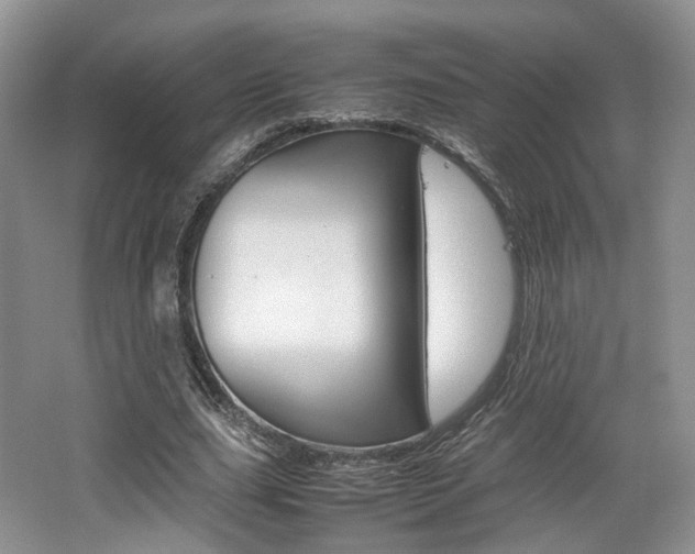 X0000062130631200512090951