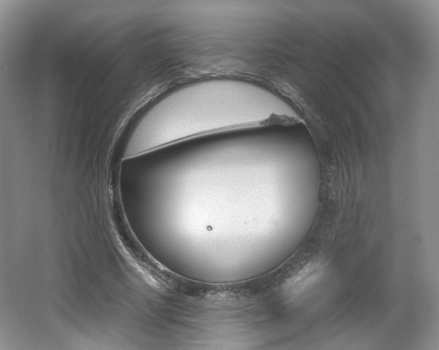 X0000062130634200512090951