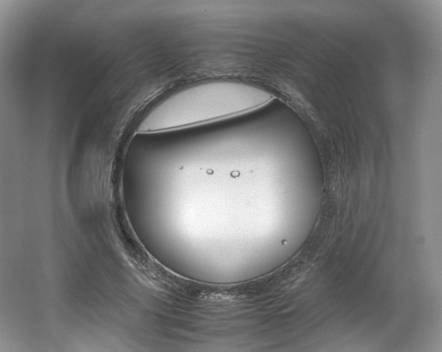 X0000062130635200512090952