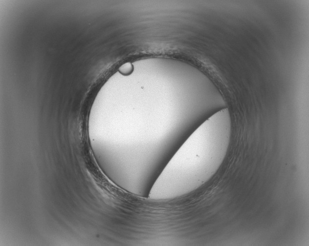X0000062130636200512090952