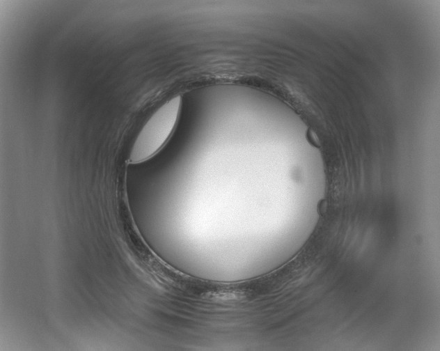 X0000062130639200512090952