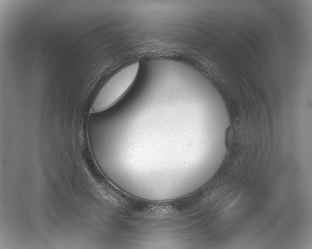 X0000062130642200512090952
