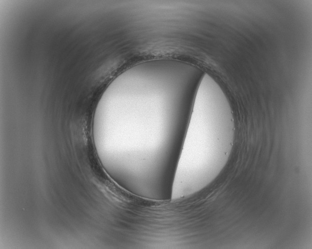 X0000062130644200512090952