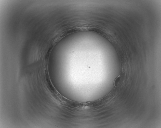 X0000062130647200512090952