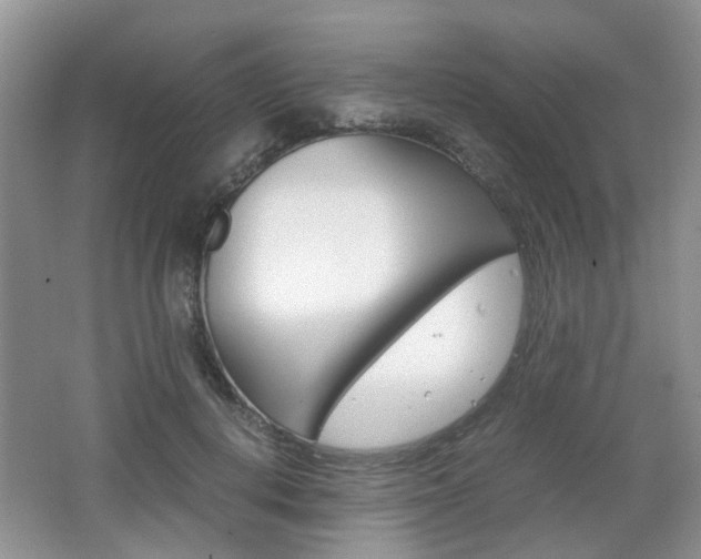 X0000062130648200512090952