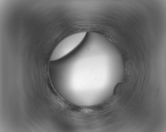 X0000062130650200512090952
