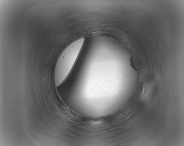 X0000062130651200512090952