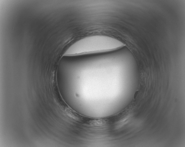 X0000062130652200512090952