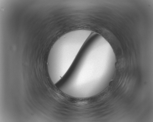X0000062130653200512090952