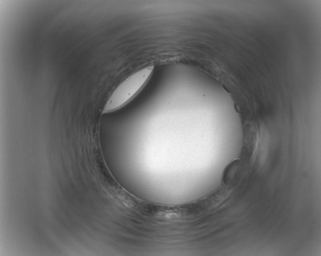 X0000062130655200512090952