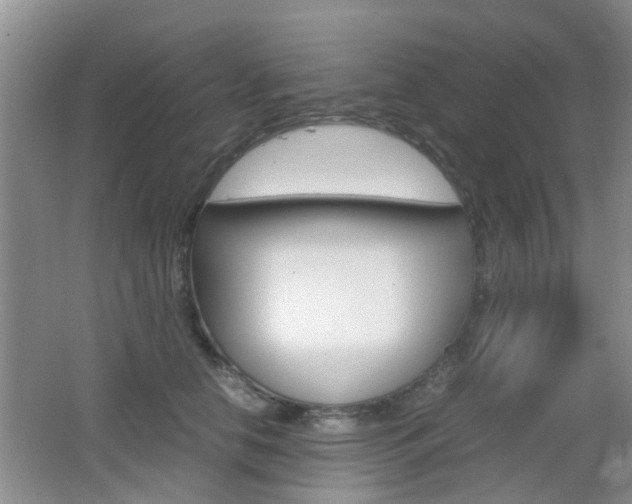 X0000062130658200512090952