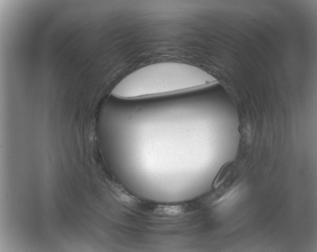 X0000062130665200512090952