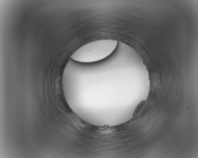 X0000062130667200512090952