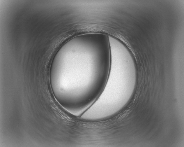 X0000062130673200512090951