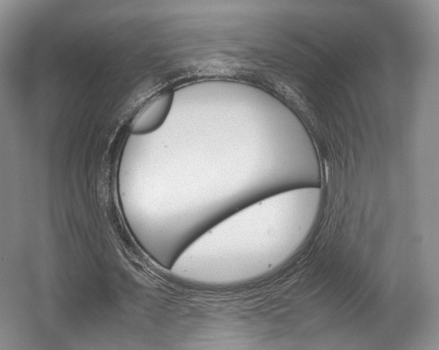 X0000062130675200512090951