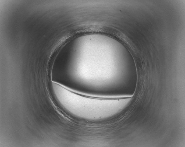 X0000062130677200512090951