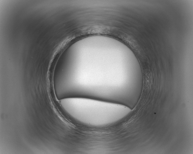 X0000062130678200512090951