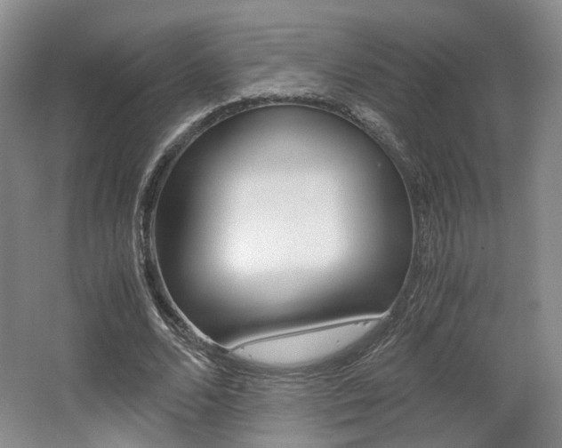 X0000062130680200512090951