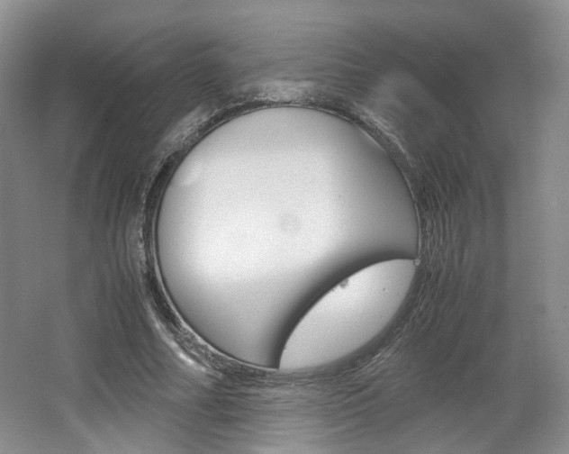 X0000062130682200512090951