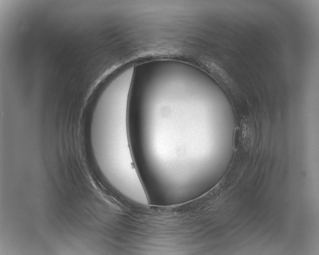 X0000062130684200512090951