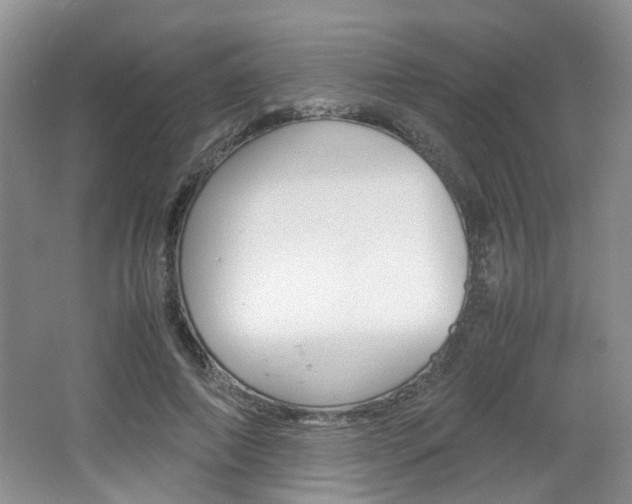 X0000062130690200512090951