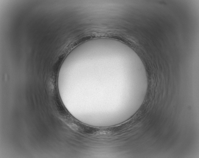 X0000062130691200512090951