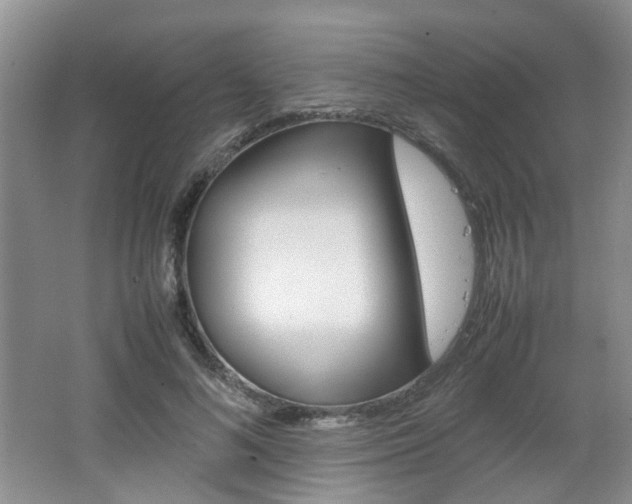 X0000062130692200512090951
