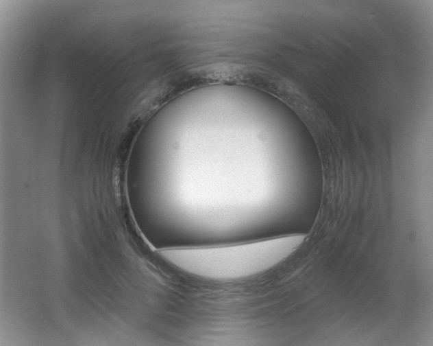 X0000062130696200512090951