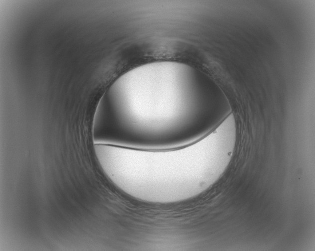 X0000062130697200512090951