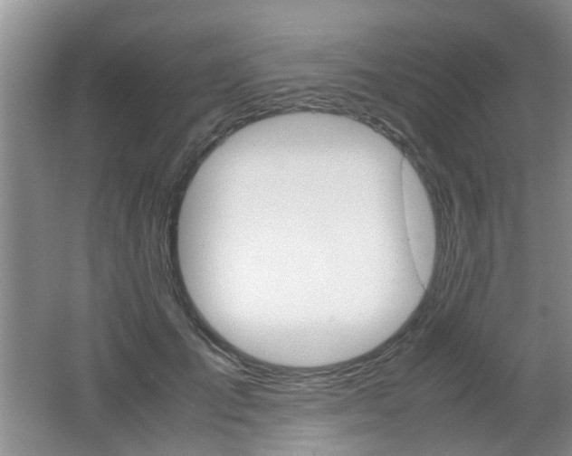 X0000062130701200512090951