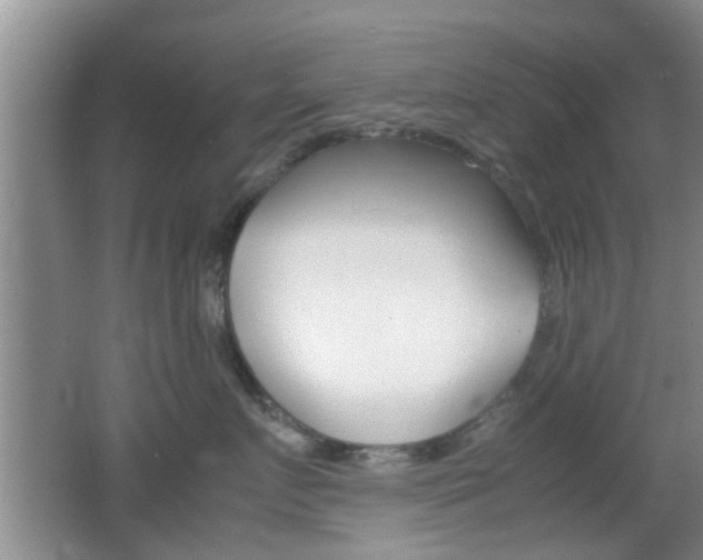 X0000062130719200512090951