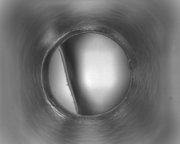 X0000062130722200512090950