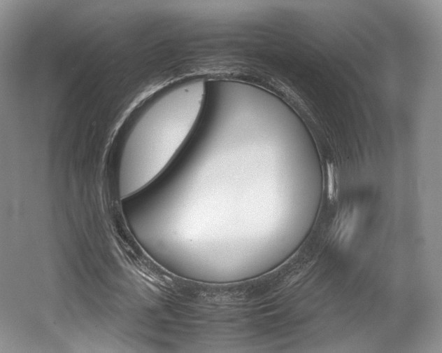 X0000062130723200512090950