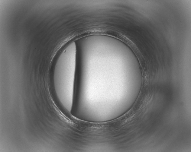 X0000062130725200512090950