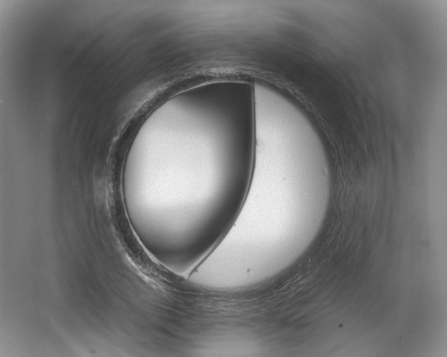 X0000062130728200512090950