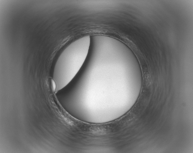 X0000062130729200512090950