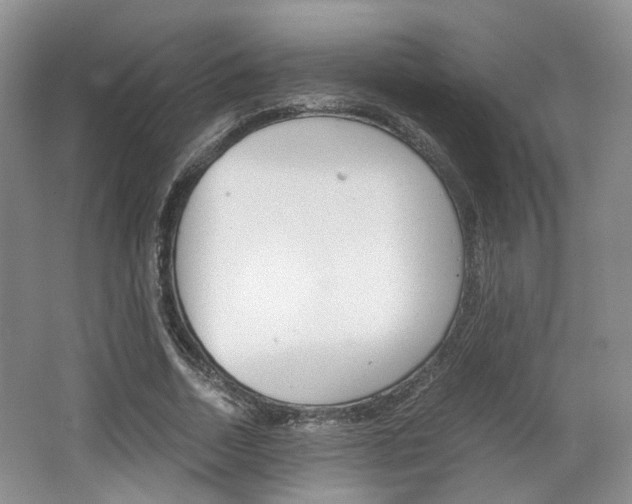 X0000062130730200512090950