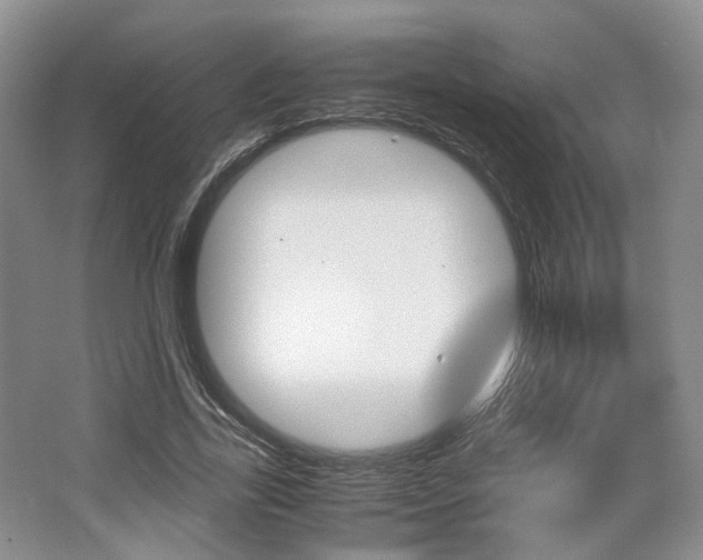X0000062130731200512090950