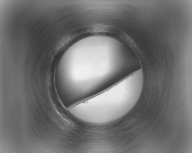 X0000062130732200512090950