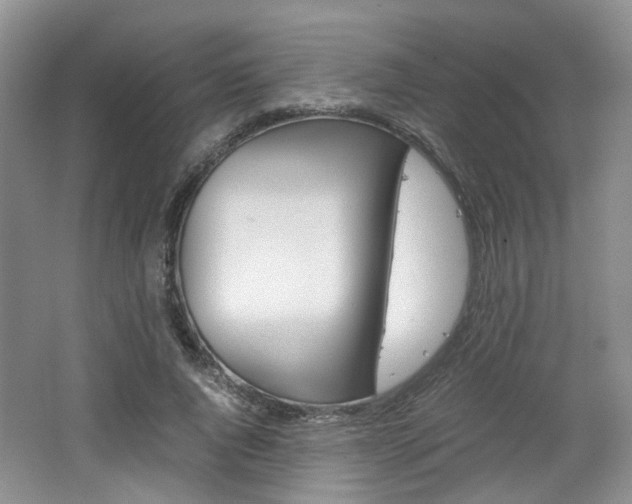X0000062130736200512090950