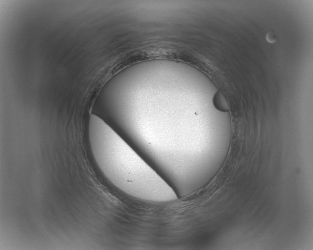 X0000062130737200512090950