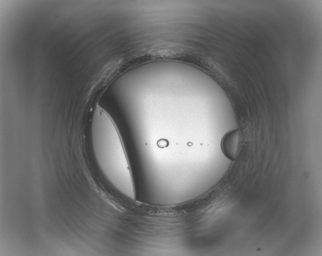 X0000062130738200512090950