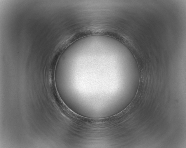 X0000062130740200512090950