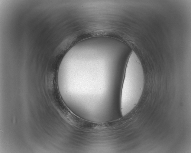 X0000062130742200512090950