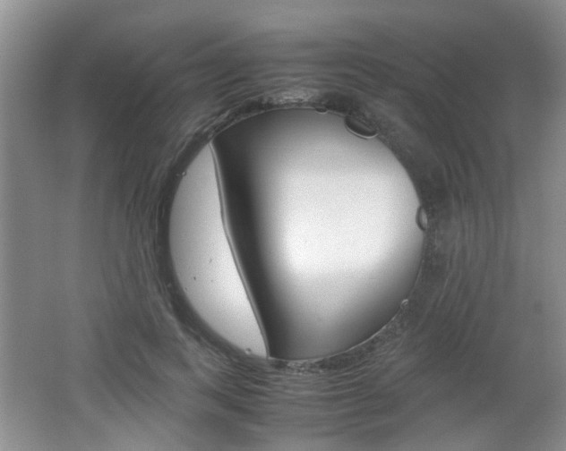 X0000062130743200512090950